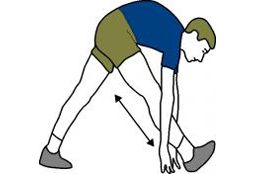 Étirement des ischio-jambiers